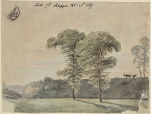 Baumstudie von Karl Friedrich Schinkel