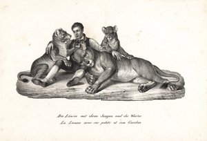 Löwin und Junge mit Trainer von Karl Joseph Brodtmann