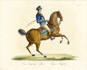 Das englische Pferd