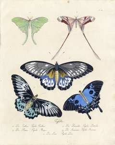  von Karl Joseph Brodtmann