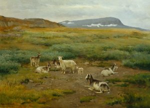 Ziegen auf der Wiese von Karl K. Uchermann