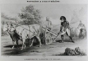 Napoleon (1769-1821) auf St. Helena, graviert von Francois le Villain von Karl after Loeillot Hartwig
