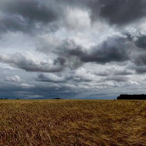 Stürmischer Himmel über einer Spätsommerernte 2020 von Katha Wood