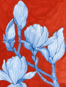 Kräftige Blaue Magnolien von Katie O'Shea