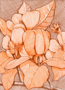 Schraffierte Orange Blüten von Katie O'Shea