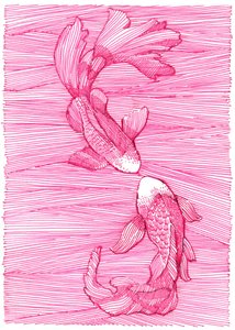 Rosa Koi Tanz von Katie O'Shea