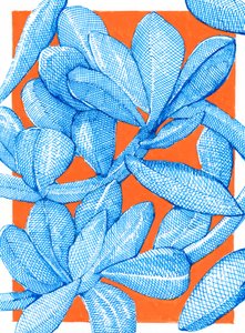 Lebendiger Botanischer Pop von Katie O'Shea