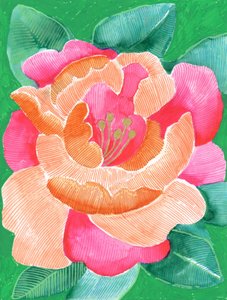 Lebendige Blumenblüte von Katie O'Shea