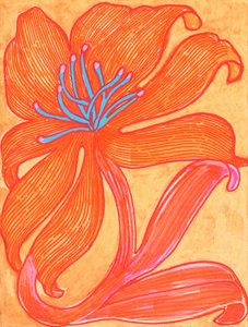 Lebendige Orange Lilie von Katie O'Shea