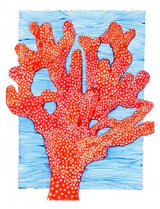 Lebendiges Rotes Korallen von Katie O'Shea