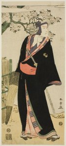 Schauspieler Ichikawa Komazō II als Sukeroku