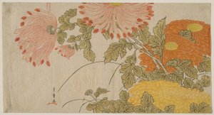 Chrysanthemen, ca. 1780