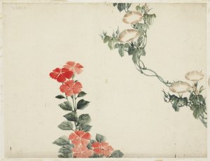Morgenröte und rote Blumen von Katsushika (school of) Hokusai