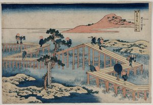 Ein altes Bild der Acht-Teil-Brücke in der Provinz Mikawa (aus der Serie Neugierige Ansichten berühmter Brücken in den Provinzen) von Katsushika Hokusai