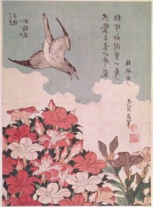 Azaleen und Kuckuck, veröffentlicht von Eijudo, um 1830 von Katsushika Hokusai
