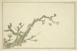 Blühender Pflaumenbaum, aus Das Bilderbuch der realistischen Malereien von Hokusai von Katsushika Hokusai