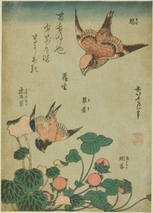 Bullenkopf-Würger und Blauvogel mit Steinbrech und Wilder Erdbeere (Mozu, ruri, yukinoshita, hebi-ichigo), aus einer unbetitelten Serie von Blumen und Vögeln