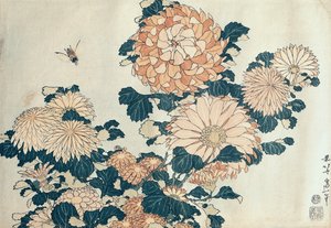 Chrysanthemen