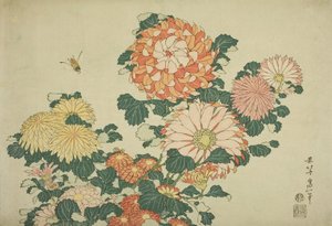 Chrysanthemen und Biene, aus einer unbetitelten Serie großer Blumen, ca. 1833-34