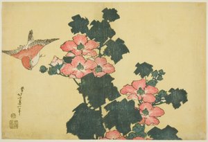 Baumwollrosen und Spatz, aus einer unbetitelten Serie großer Blumen