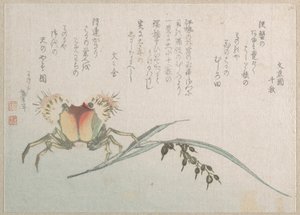 Krabbe und Reisplanze von Katsushika Hokusai