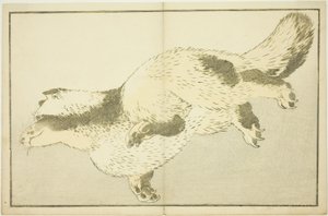 Fuchs, aus dem Bilderbuch der realistischen Malereien von Hokusai von Katsushika Hokusai