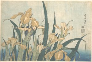 Grashüpfer und Iris von Katsushika Hokusai