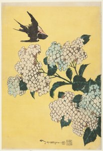 Hortensie und Schwalbe, aus einer unbetitelten Serie großer Blumen von Katsushika Hokusai