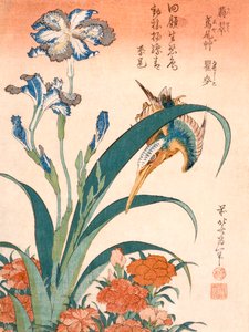 Eisvogel, Schwertlilien und Nelken, veröffentlicht ca. 1834