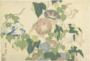 Morgenruhm und Baumfrosch, aus der unbetitelten Serie bekannt als Große Blumen, ca. 1833-34