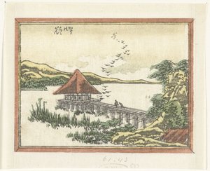 Landende Gänse in Katata