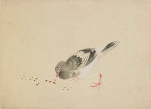 Taube von Katsushika Hokusai