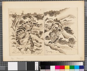 Szenen aus dem Krieg zwischen Japan und Korea, Ende des 18. bis erste Hälfte des 19. Jahrhunderts von Katsushika Hokusai