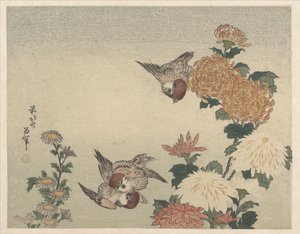 Spatzen und Chrysanthemen