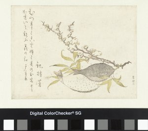 Zwei Plattfische und Pflaume von Katsushika Hokusai