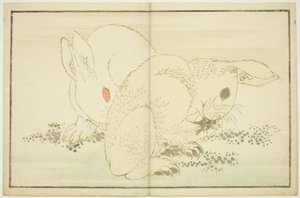 Zwei Kaninchen, aus dem Bilderbuch der realistischen Malereien von Hokusai (Hokusai shashin gafu)