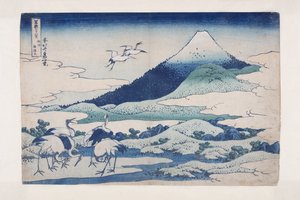 Umezawa-Anwesen in der Provinz Sagami von Katsushika Hokusai