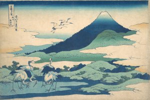 Umezawa-Anwesen in der Provinz Sagami, aus der Serie Sechsunddreißig Ansichten des Berges Fuji, ca. 1830-32 von Katsushika Hokusai