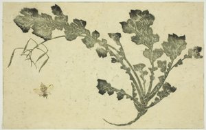 Wespe und Rübenstiel, aus "Das Bilderbuch der realistischen Malereien von Hokusai"