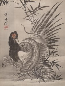 Fasan von einer Schlange gefangen, ca. 1887