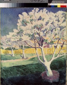 Sommerlandschaft von Kazimir Severinovich Malevich