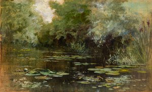 Teich mit Seerosen