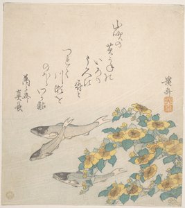 Zwischen gelben Blumen schwimmende Fische von Keisai Eisen