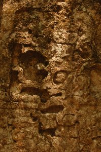 7319 Oxpemul; Maya; Alte Kulturen; Maya; Mexiko; Maya-Biosphärenreservat; Ivan Sprajc, 2004 von Kenneth Garrett