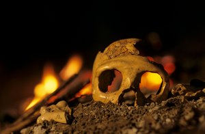 DOH; Neandertaler 130.000 Jahre alt, Schädel einer Frau, Krapina 3, Krapina-Höhle, Balkan von Kenneth Garrett
