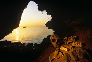 Schädel einer Neandertalerfrau, abgeschlagene Werkzeuge und Knochen eines Ibex - Wildziege, Gibraltar, 2008 (Foto)