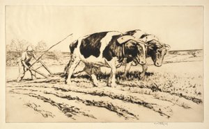 Frühjahrs-Pflügen von Kerr Eby