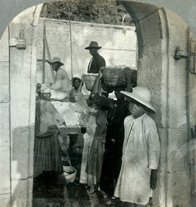Frischer Kakao aus den Schoten, Dominica, B.W.I. von Keystone View Company
