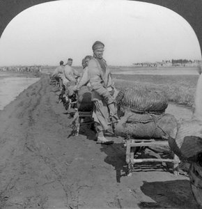 Salztransport ins Landesinnere mit Schubkarren, China, 1907
