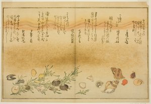 Beni-gai, hora-gai, urauzu-gai, wasure-gai, chiyonohana-gai und masuho-gai, aus dem illustrierten Buch "Geschenke der Ebbe" von Kitagawa Utamaro
